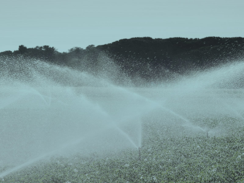 Segments Irrigation