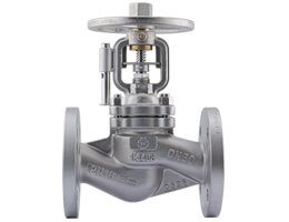 Globe Valves